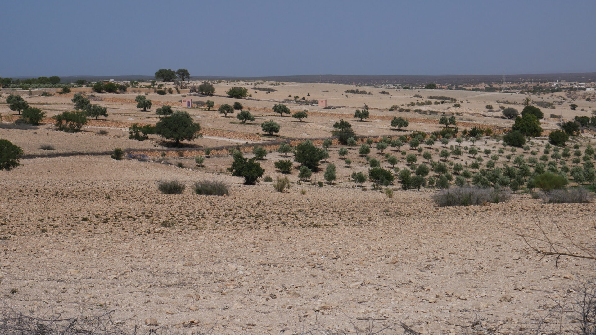 Essaouira, nous voici !